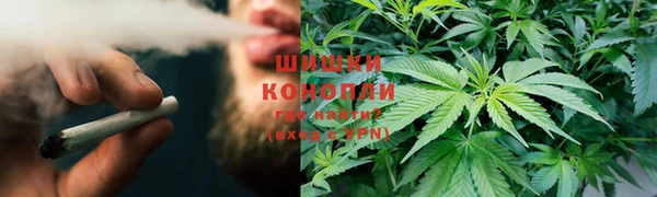 сатива Алексин