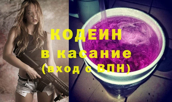 прущие грибы Алзамай